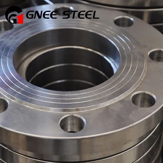Hastelloy C276 Flanges
