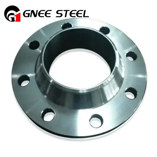 Nicel 200 Flange UNS N02200