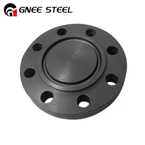 Super Duplex Dur Ring Math ar y Cyd flanges